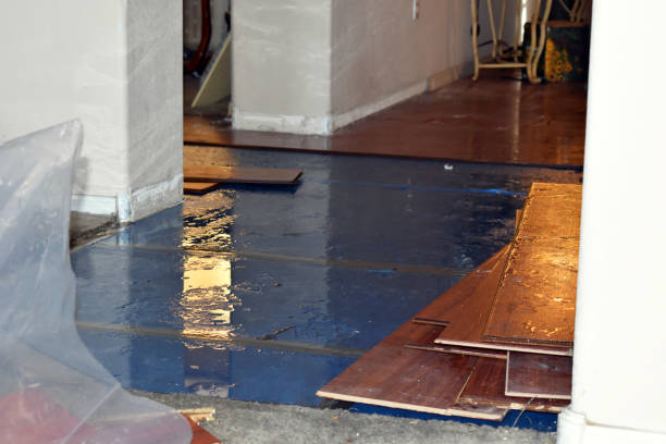 Professional Water Damage Restoration technician working in Barnum, IA